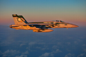 κατάστρωμα, F-18, Μαχητής, πτήση, Πιλότος, Super Hornet