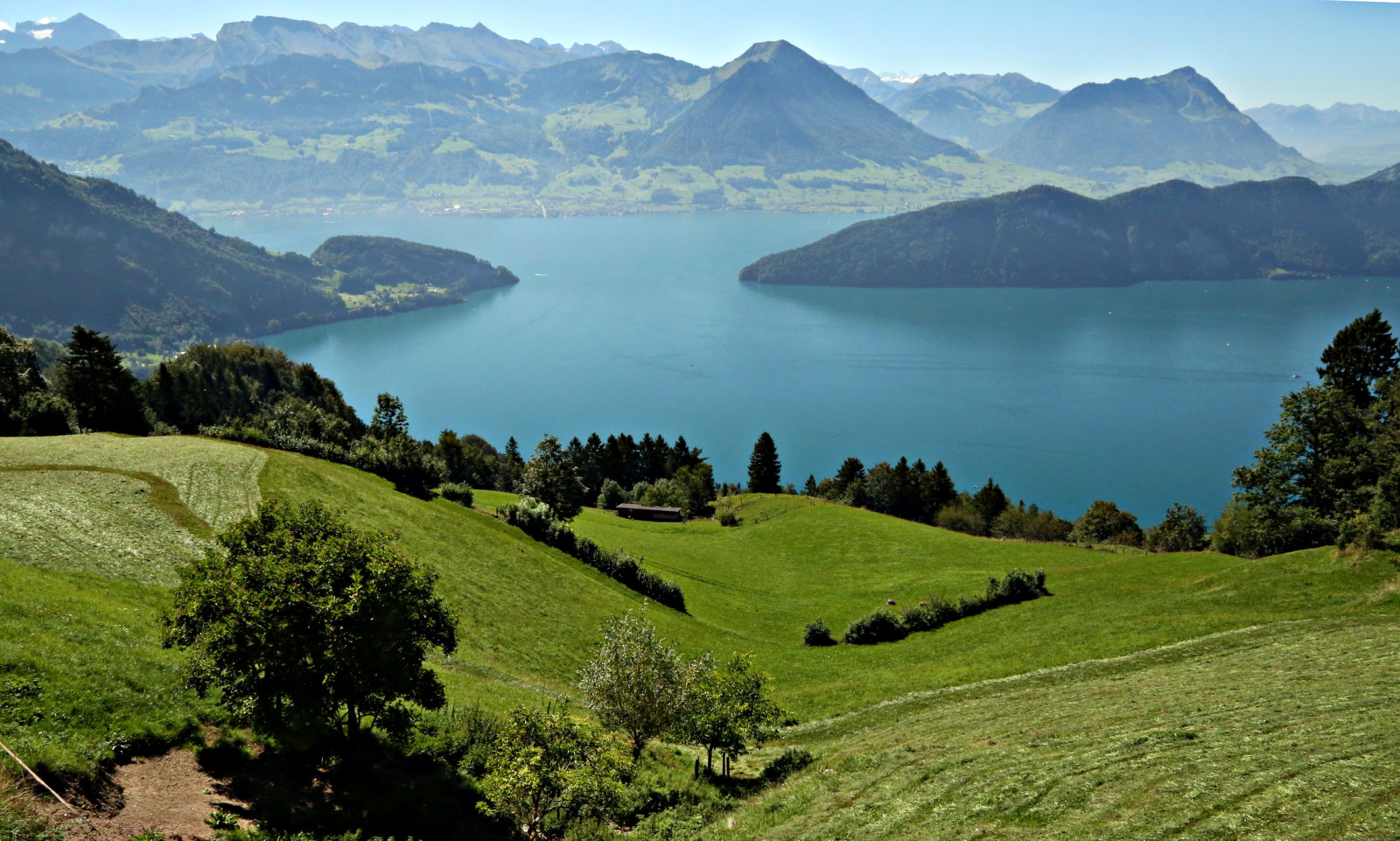 Suisse, Lac, champ, montagnes, prés, Lac des Quatre-Cantons