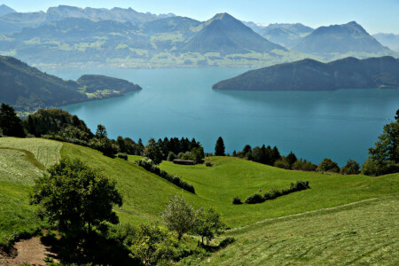 field, lake, Lake Lucerne, meadows, mountains, Switzerland