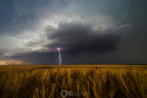 veld-, juni, Kansas, Leoti, bliksem, roterend onweer, storm, zomer