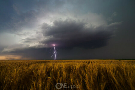 champ, juin, Kansas, Leoti, foudre, orage en rotation, orage, été