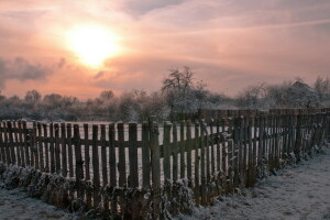 solnedgang, hegnet, landsby, vinter