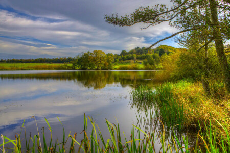 Alm, Tyskland, landskap, natur, Foto, flod