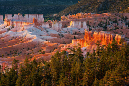 hegyek, sziklák, napnyugta, fák, USA, Utah