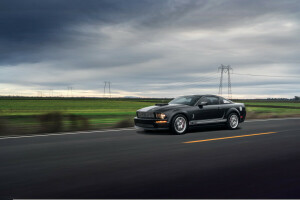 Aristo, voiture, Gué, De face, gris, GT 350, muscle, Mustang