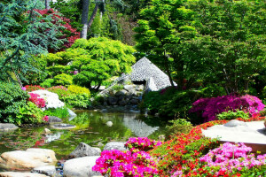 Albert-Kahn japanske haver, blomster, Frankrig, Have, Dam, sten, buskene, træer