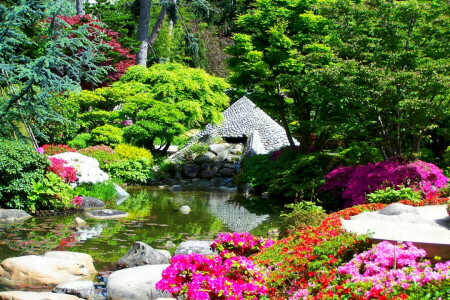 Jardins japonais Albert-Kahn, fleurs, France, Jardin, étang, des pierres, les buissons, des arbres