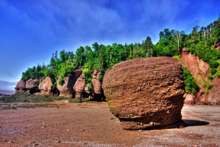 rocks, sea, shore, stones, the sky, trees