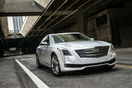 Cadillac, CT6, sedán, blanco