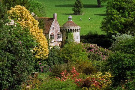 castle, England, field, flowers, Scotney Castle, the bushes, trees