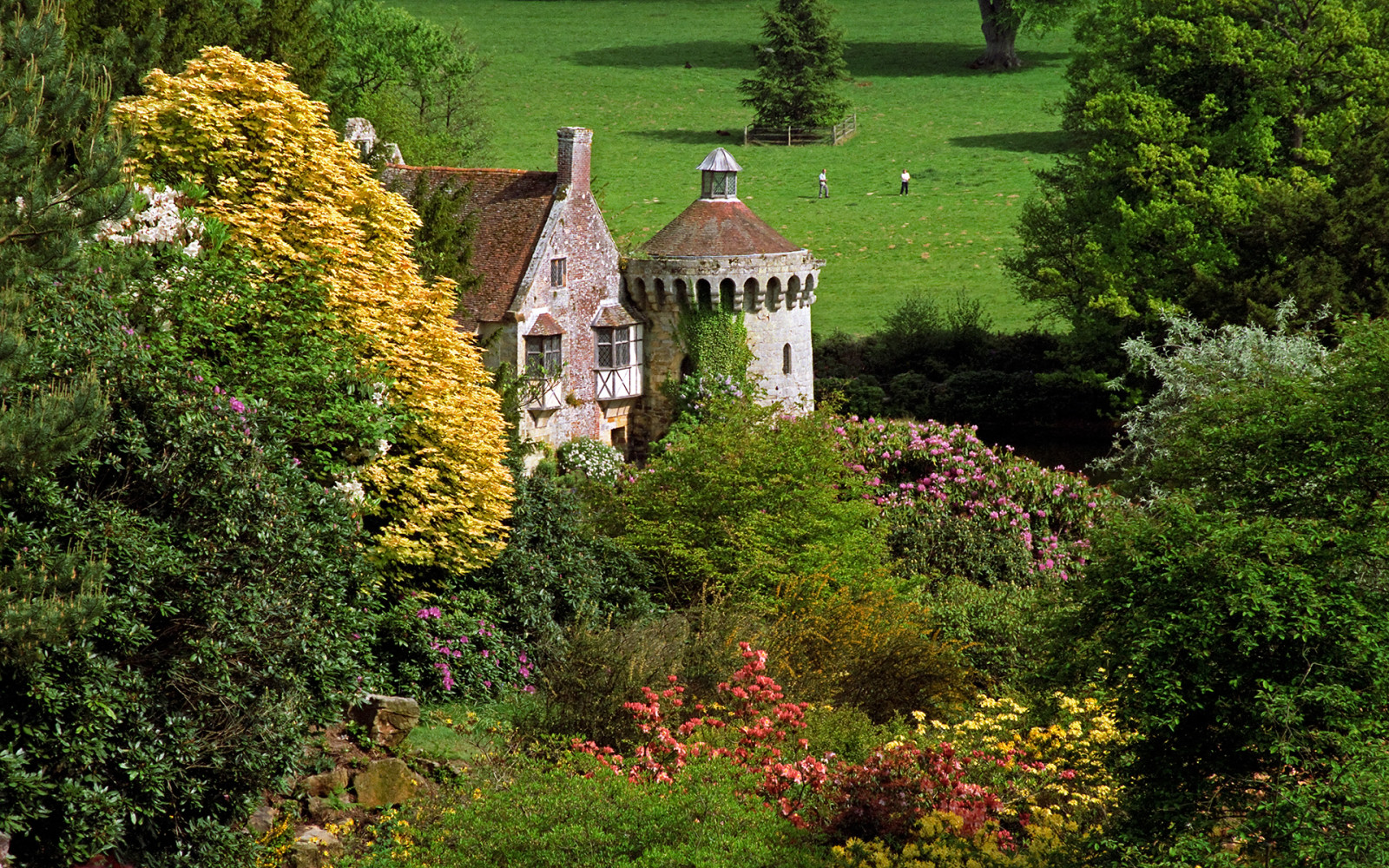 træer, Mark, blomster, England, slot, buskene, Scotney Castle