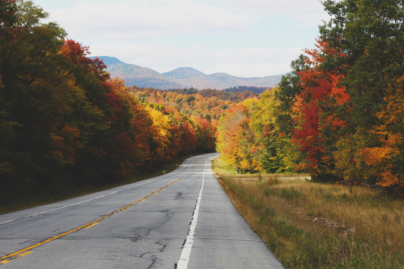 autunno, strada, alberi, colline, asfalto