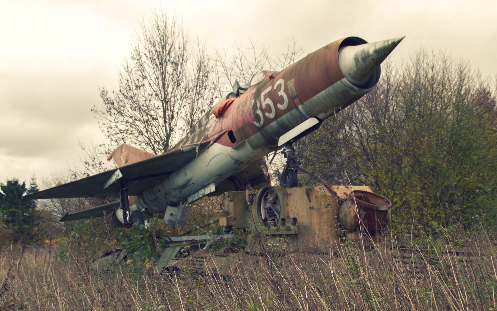 Armi, l'aereo, mig21