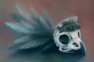 art, beak, BUTTERFLY, feathers, skull