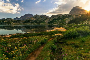 lac, munţi, natură, vară