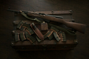 Brian Storey, photographe, armes