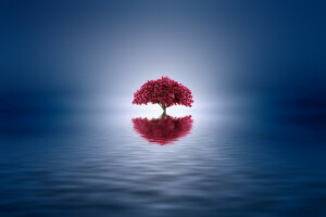 Couleur, Josep Sumalla, Lac, peindre, réflexion, Coiffant, arbre