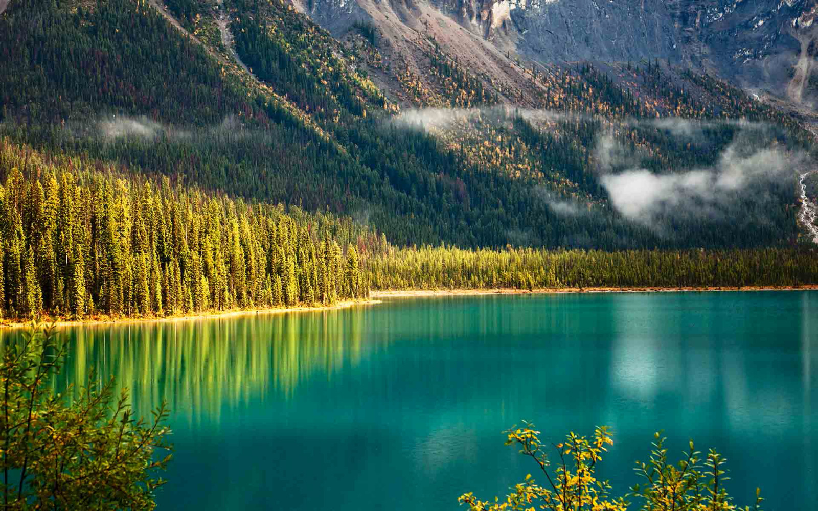 les, stromy, Kanada, hory, sklon, Britská Kolumbie, Národní park Yoho, Emerald Lake