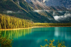 Columbia Británica, Canadá, Lago esmeralda, bosque, montañas, Pendiente, arboles, Parque Nacional Yoho