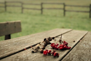 baies, macro, table