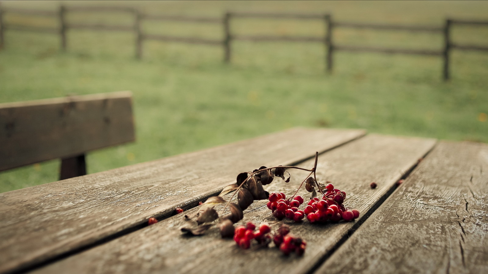 macro, tafel, bessen