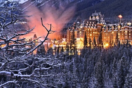 Albert, Alberta, Banff, Banff National Park, Banff Springs Hotel, branches, Canada, forest