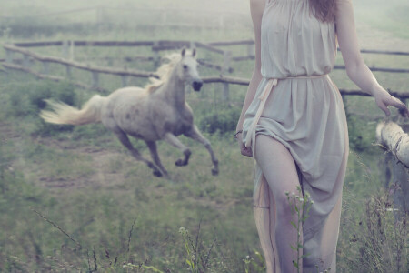 cheveux bruns, clôture, brouillard, fille, cheval