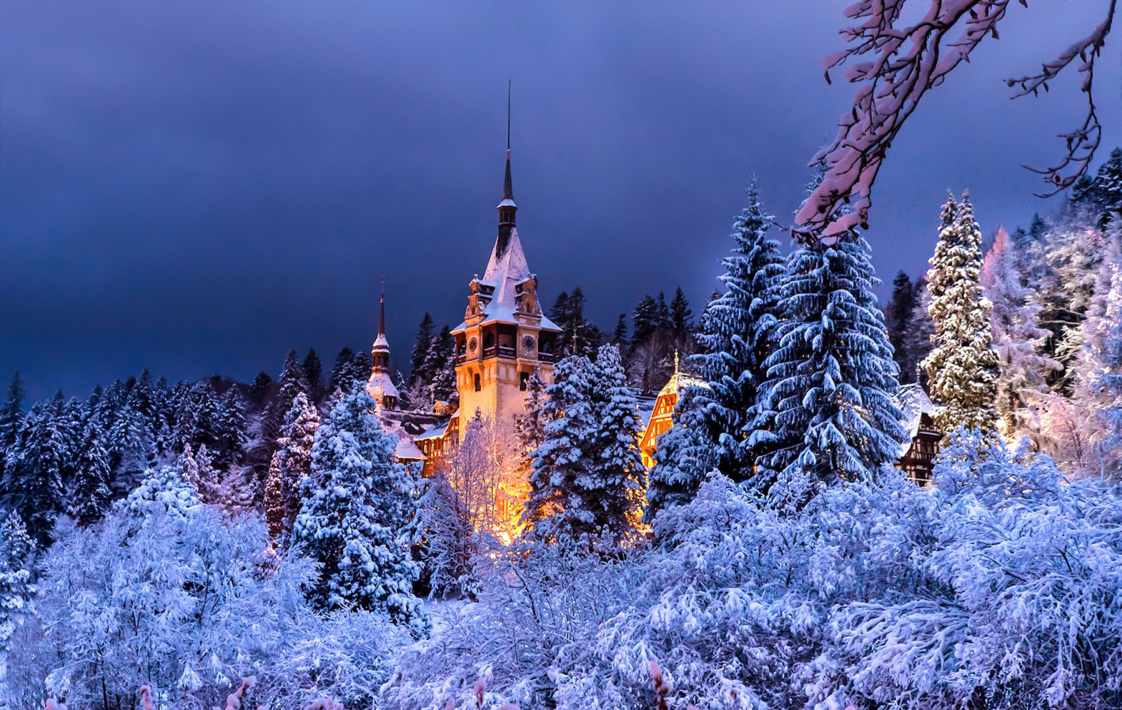 foresta, la sera, inverno, Romania, Sinai, Castello di Peles