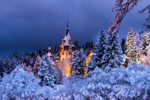 forest, Peles Castle, Romania, Sinai, the evening, winter