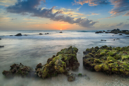 Aruba, strand, Karibien, moln, landskap, morgon-, Herr Arashi, tillflykt