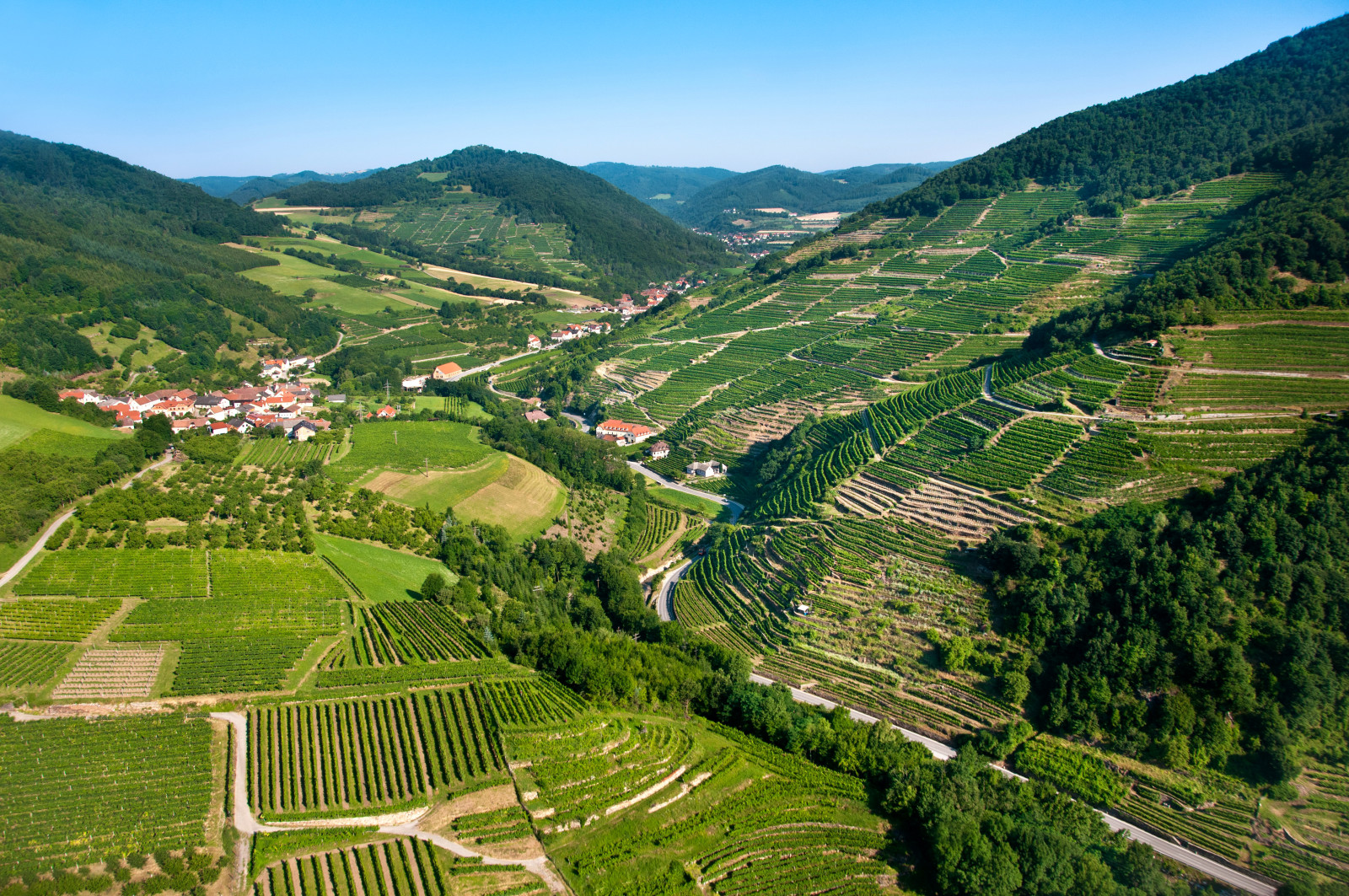 foresta, campo, montagne, casa, panorama, Austria, piantagione, Wachau