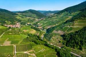 österrike, fält, skog, Hem, bergen, panorama, plantage, Wachau