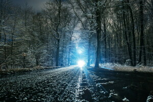 landscape, light, nature, road, snow, winter