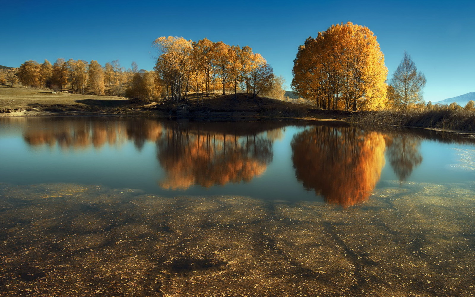 nature, lake, landscape, trees