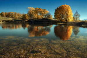 lago, panorama, natureza, árvores