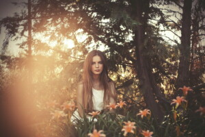 fleurs, fille, lumière