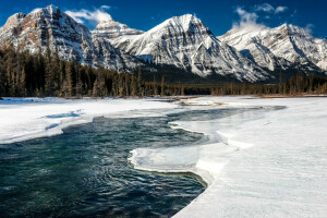 Alberta, Canada, pădure, gheaţă, Parcul Național Jasper, munţi, râu, zăpadă