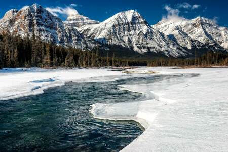 Alberta, Kanada, les, ľad, Národný park Jasper, hory, rieka, sneh