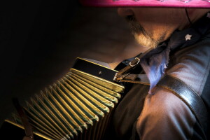 accordion, musician