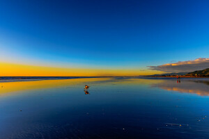 nubes, perro, pintar, personas, mar, apuntalar, el cielo, Marea