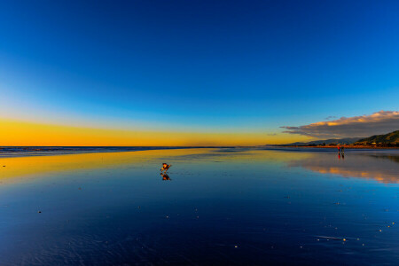 clouds, dog, paint, people, sea, shore, the sky, Tide