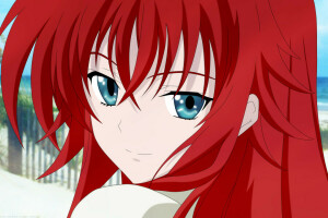 Weiblich, HighSchool Dxd, Rias Gremory, Single