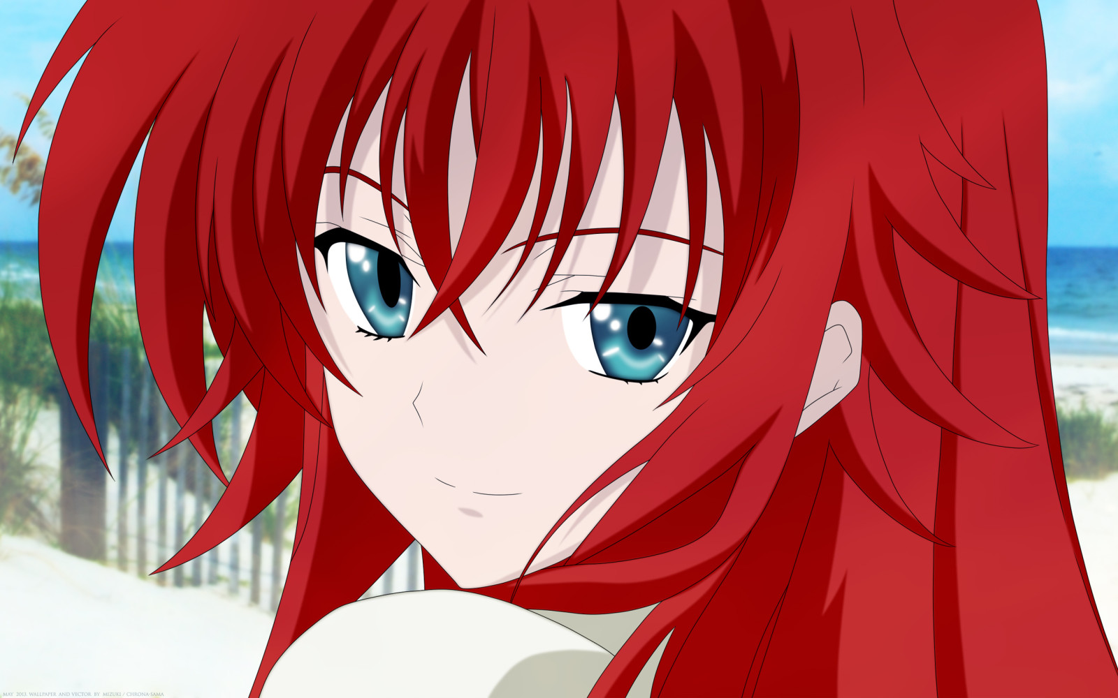 Žena, jednoposteľová, Stredná škola dxd, Rias Gremory