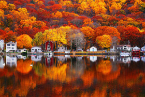 herfst, huis, meer, bladeren, natuur, verf, reflectie, helling