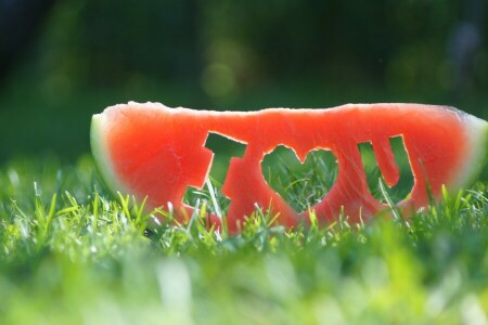 grass, I love you, slice, watermelon