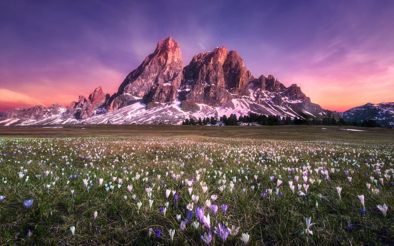 Feld, Blumen, Berge