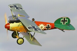 Albatros D. Va, during, Fighter, First, forces, Germany, replica, War