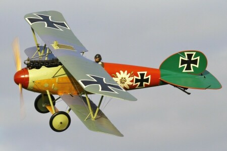 Albatros D. Va, durante, Combatiente, primero, efectivo, Alemania, réplica, Guerra