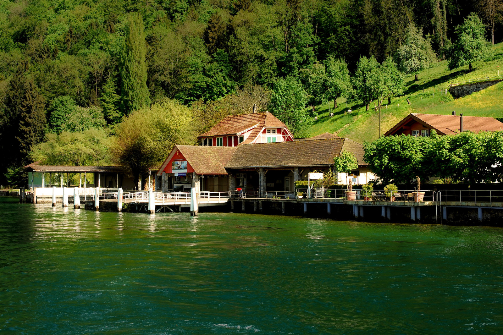 Schweiz, See, Ufer, Bäume, Steigung, Seebrücke, Häuser, Luzerne