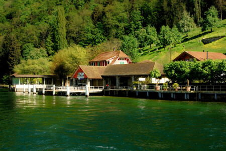 Bürgenstock, Domy, jezero, Jezero Lucerne, Vojtěška, molo, pobřeží, sklon